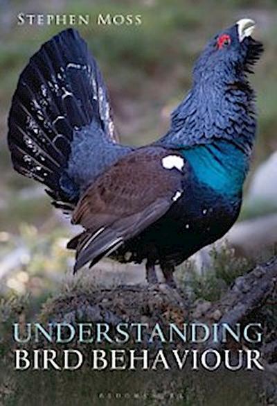 Understanding Bird Behaviour
