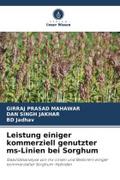 Leistung einiger kommerziell genutzter ms-Linien bei Sorghum