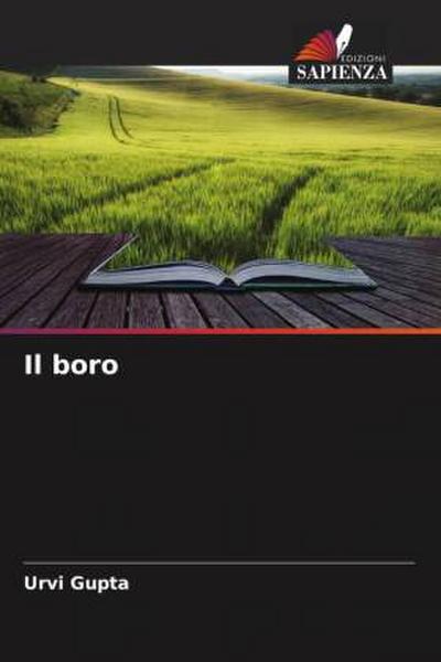 Il boro