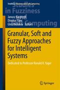 Granular, Soft and Fuzzy Approaches for Intelligent Systems