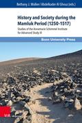 History and Society during the Mamluk Period (1250-1517)