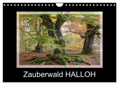 Zauberwald HALLOH (Wandkalender 2026 DIN A4 quer), CALVENDO Monatskalender