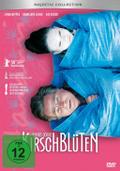 Kirschblüten-Hanami