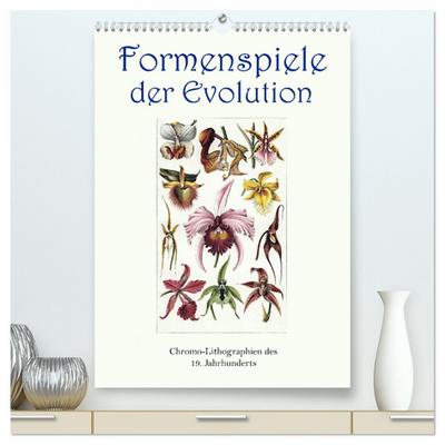 Formenspiele der Evolution. Chromolithographien des 19. Jahrhunderts (hochwertiger Premium Wandkalender 2024 DIN A2 hoch), Kunstdruck in Hochglanz
