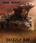 Grizzly Bär