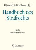 Handbuch des Strafrechts