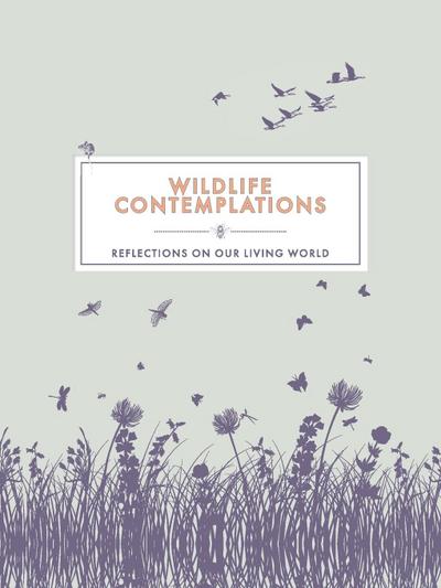 Wildlife Contemplations