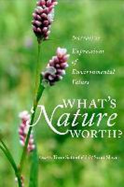 What’s Nature Worth?: Narrative Expressions of Environmental Values