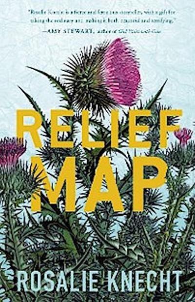 Relief Map