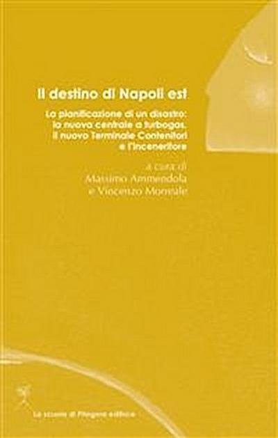 Il destino di Napoli est. La pianificazione di un disastro