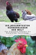Die bekanntesten Hühnerrassen der Welt