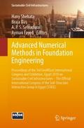 Advanced Numerical Methods in Foundation Engineeri
