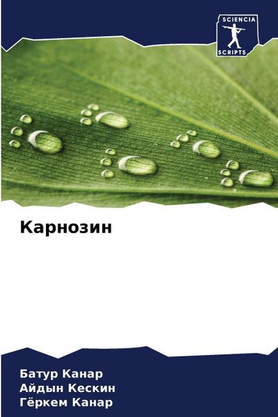 Karnozin