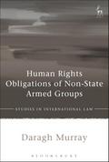 Human Rights Obligations of Non-State Armed Groups