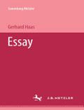 Essay