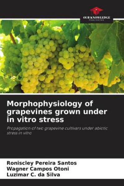 Morphophysiology of grapevines grown under in vitro stress