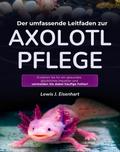Der umfassende Leitfaden zur Axolotl-Pflege