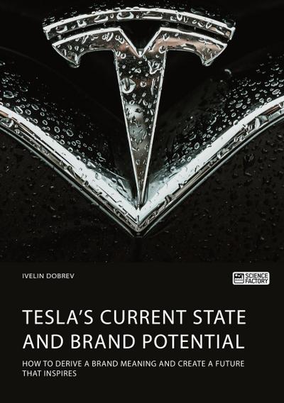Tesla’s current state and brand potential. How to derive a brand meaning and create a future that inspires