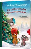 Ein Lichterwald voller Weihnachtsgeschichten