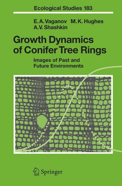 Growth Dynamics of Conifer Tree Rings