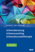 Schemaberatung, Schemacoaching, Schemakurzzeittherapie