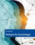 Biologische Psychologie von Rainer Schandry | Buch