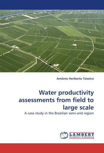 Water productivity assessments from field to large scale