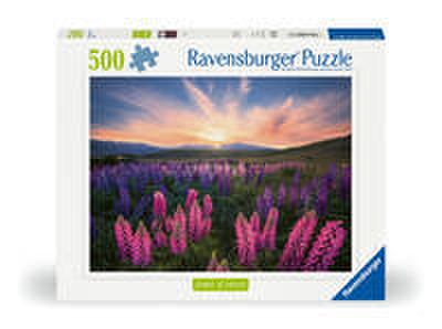 Erwachsenenpuzzle 500 Teile - Lupinen