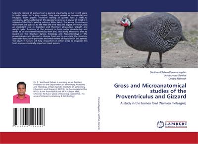 Gross and Microanatomical studies of the Proventriculus and Gizzard