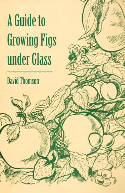 A Guide to Growing Figs Under Glass