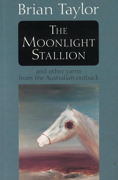 The Moonlight Stallion