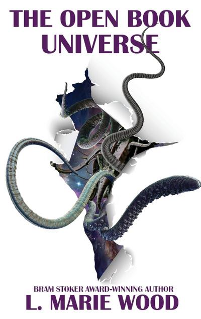 The Open Book Universe