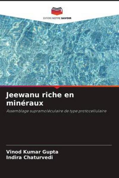 Jeewanu riche en minéraux