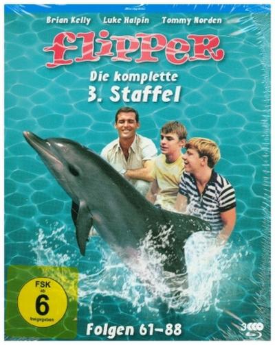 Flipper. Staffel.3, 3 Blu-ray