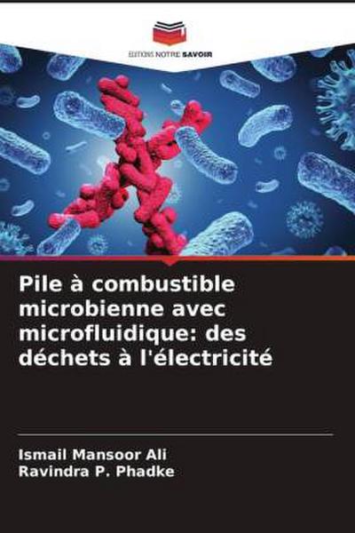 Pile à combustible microbienne avec microfluidique: des déchets à l’électricité