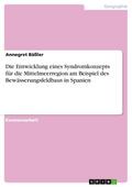 Die Entwicklung eines Syndromkonzepts für die Mittelmeerregion am Beispiel des Bewässerungsfeldbaus in Spanien