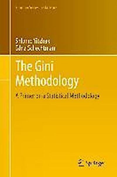 The Gini Methodology