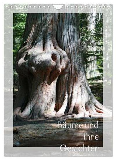 Bäume und ihre Gesichter (Wandkalender 2026 DIN A4 hoch), CALVENDO Monatskalender