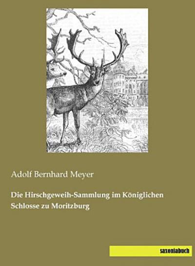 Die Hirschgeweih-Sammlung im Königlichen Schlosse zu Moritzburg