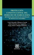 Protección constitucional del derecho de Habeas Data