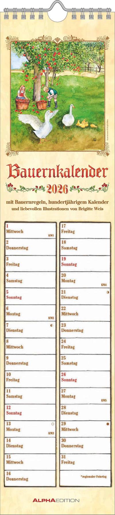 Streifenplaner Bauernkalender 2026 - Streifen-Kalender 11,3x49x5 cm - mit 100-jährigem Kalender und Bauernregeln - Wandplaner - Alpha Edition