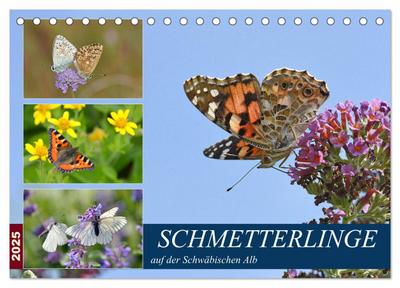 Schmetterlinge auf der Schwäbischen Alb (Tischkalender 2025 DIN A5 quer), CALVENDO Monatskalender