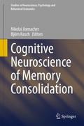 Cognitive Neuroscience of Memory Consolidation