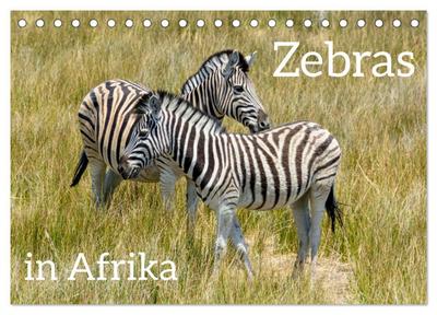 Zebras in Afrika (Tischkalender 2026 DIN A5 quer), CALVENDO Monatskalender