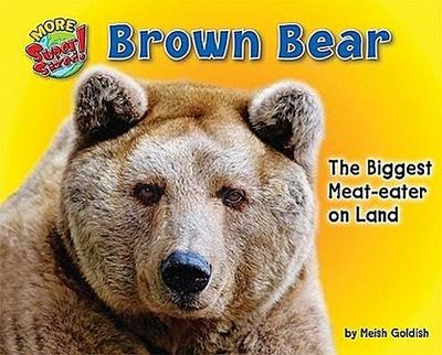 Brown Bear