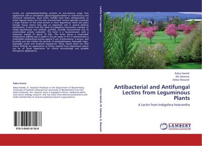 Antibacterial and Antifungal Lectins from Leguminous Plants