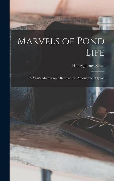 Marvels of Pond Life: A Year’s Microscopic Recreations Among the Polyzoa