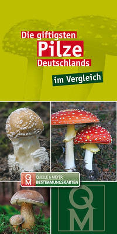 Die giftigsten Pilze Deutschlands im Vergleich