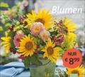 times&more Blumen 2027