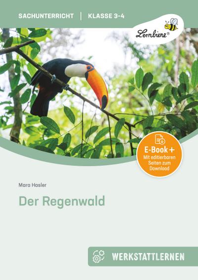 Der Regenwald